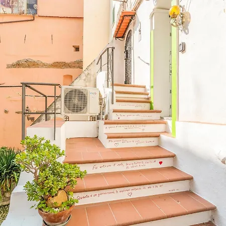 Pet Friendly In With Kitchen